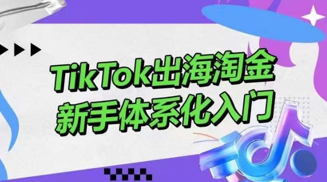 TikTok出海淘金，新手体系化入门，零基础快速入门，掌握短视频、直播带货等引流到变现的知识-网创-网赚-项目-兼职青絲网创