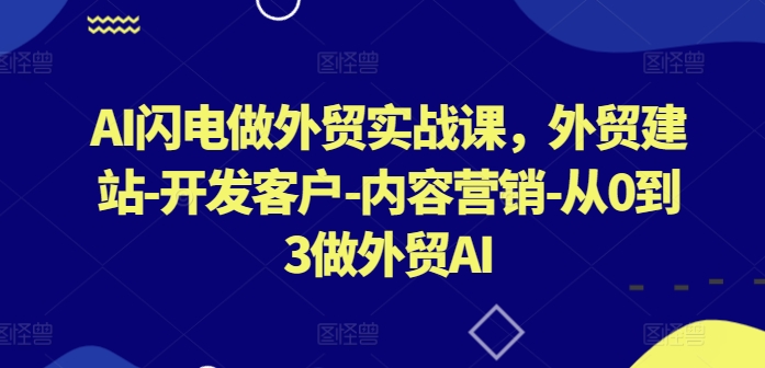 AI闪电做外贸实战课，​外贸建站-开发客户-内容营销-从0到3做外贸AI(更新)-网创-网赚-项目-兼职青絲网创