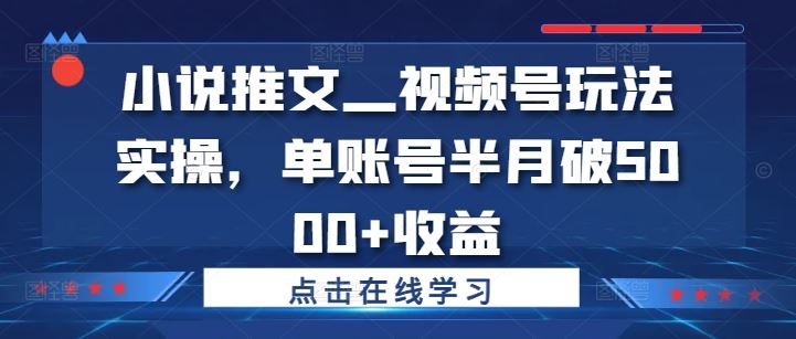 小说推文—视频号玩法实操，单账号半月破5000+收益-网创-网赚-项目-兼职青絲网创