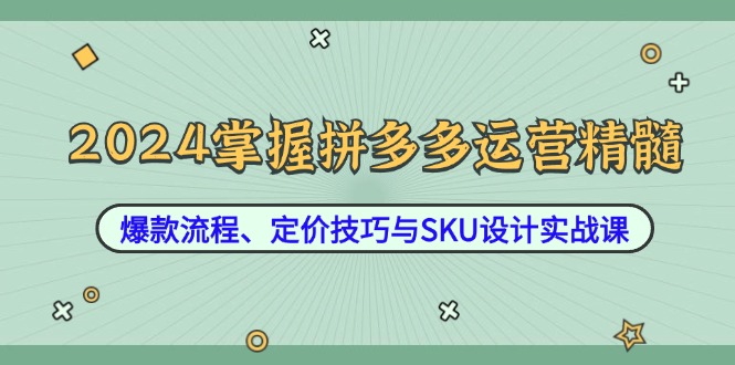 2024掌握拼多多运营精髓：爆款流程、定价技巧与SKU设计实战课-网创-网赚-项目-兼职青絲网创