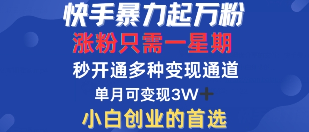 快手暴力起万粉，涨粉只需一星期，多种变现模式，直接秒开万合，单月变现过W【揭秘】-网创-网赚-项目-兼职青絲网创