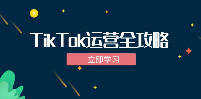 TikTok实战运营全攻略：从下载软件到变现，抖音海外版实操教程-网创-网赚-项目-兼职青絲网创