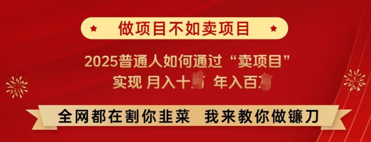 必看!做项目不如卖项目，2025普通人如何通过“卖项目”实现月入十个，年入百个【揭秘】-网创-网赚-项目-兼职青絲网创