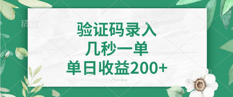 （14221期）验证码录入，几秒一单，单日收益200+-网创-网赚-项目-兼职青絲网创