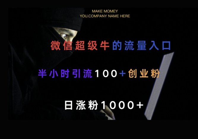 微信版知乎，一小时引流100+创业粉，日涨粉1000+-网创-网赚-项目-兼职青絲网创