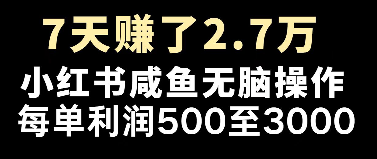 （14183期）最赚钱项目之一，2025爆火，逆风翻盘！-网创-网赚-项目-兼职青絲网创