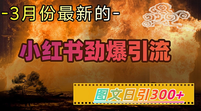 小红书超劲爆引流手段，图文日引300+轻松变现1W-网创-网赚-项目-兼职青絲网创