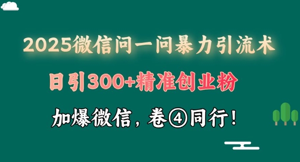 2025最新微信问一问暴力引流术揭秘，日引300+创业粉，单日变现四位数-网创-网赚-项目-兼职青絲网创