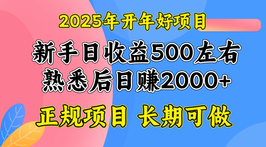 （14076期）2025开年好项目，单号日收益2000左右-网创-网赚-项目-兼职青絲网创