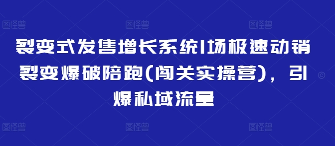裂变式发售增长系统1场极速动销裂变爆破陪跑(闯关实操营)，引爆私域流量-网创-网赚-项目-兼职青絲网创