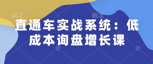 直通车实战系统：低成本询盘增长课，让个人通过技能实现升职加薪，让企业低成本获客，订单源源不断-网创-网赚-项目-兼职青絲网创