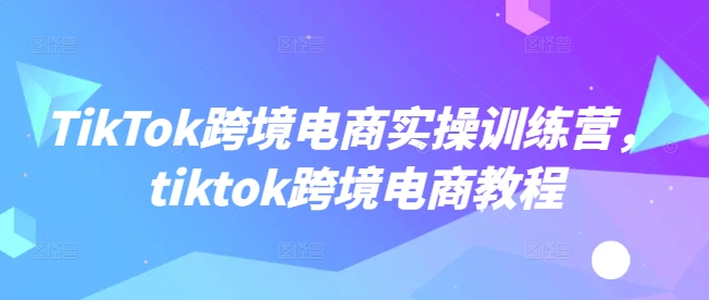 TikTok跨境电商实操训练营，tiktok跨境电商教程-网创-网赚-项目-兼职青絲网创