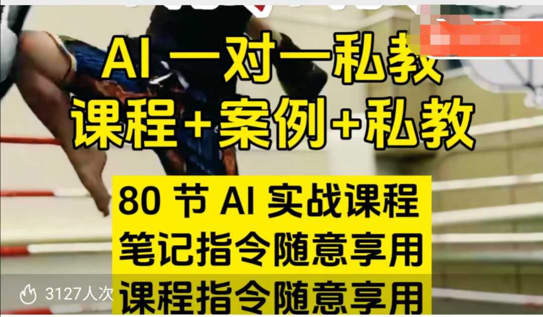 AI指令实战课，课程+案例，80节AI实战课程，笔记指令随意享用，课程指令随意享用-网创-网赚-项目-兼职青絲网创