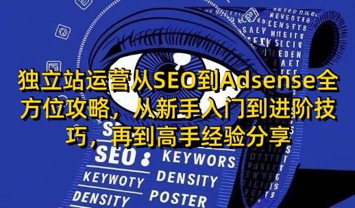 独立站运营从SEO到Adsense全方位攻略，从新手入门到进阶技巧，再到高手经验分享-网创-网赚-项目-兼职青絲网创