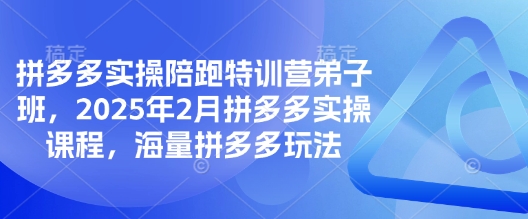 拼多多实操陪跑特训营弟子班，2025年2月拼多多实操课程，海量拼多多玩法-网创-网赚-项目-兼职青絲网创