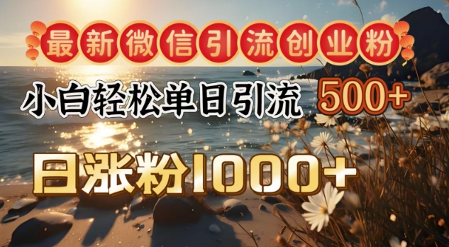 最新微信引流创业粉，小白单日轻松引流500+，日涨粉1000+-网创-网赚-项目-兼职青絲网创
