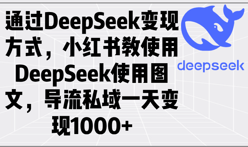 （14179期）通过DeepSeek变现方式，小红书教使用DeepSeek图文，导流私域一天变现1000+-网创-网赚-项目-兼职青絲网创
