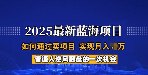 2025蓝海项目，普通人如何通过卖项目，实现月入过W，全过程【揭秘】-网创-网赚-项目-兼职青絲网创
