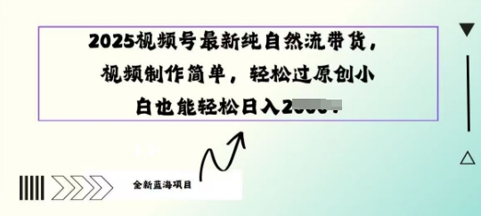 2025视频号最新纯自然流带货， 视频制作简单，轻松过原创小 白也能轻松操作-网创-网赚-项目-兼职青絲网创