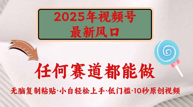 （14453期）2025年视频号新风口，低门槛只需要无脑执行-网创-网赚-项目-兼职青絲网创