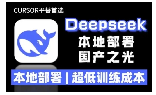 2025年deepseek R1 大型模型本地安装部署(文件+教程)本地部署，超低训练成本-网创-网赚-项目-兼职青絲网创