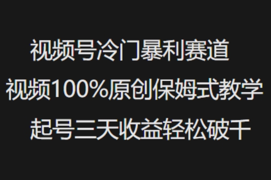 视频号冷门暴利赛道视频100%原创保姆式教学起号三天收益轻松破千-网创-网赚-项目-兼职青絲网创