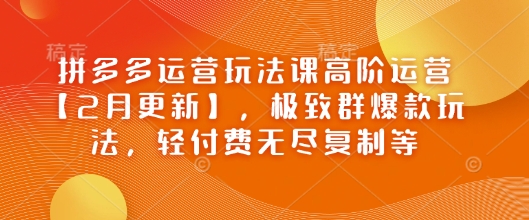 拼多多运营玩法课高阶运营【2月更新】，极致群爆款玩法，轻付费无尽复制等-网创-网赚-项目-兼职青絲网创