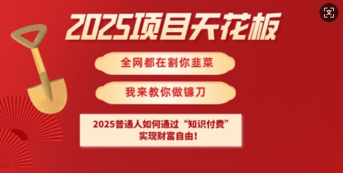 2025项目天花板普通人如何通过知识付费，实现财F自由【揭秘】-网创-网赚-项目-兼职青絲网创